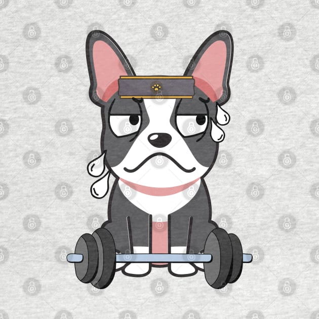 Funny french bulldog is exercising by Pet Station